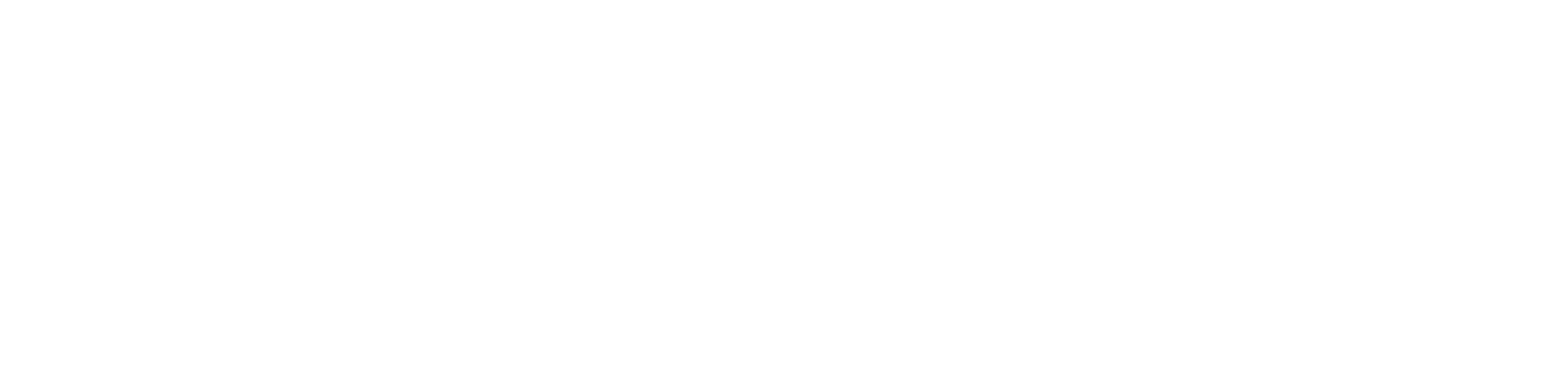 Indubalcorp Company Inc